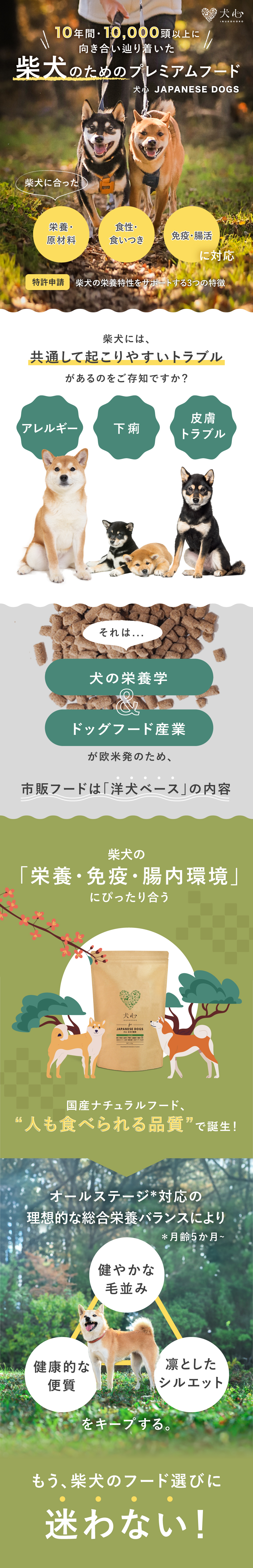 犬心　柴犬