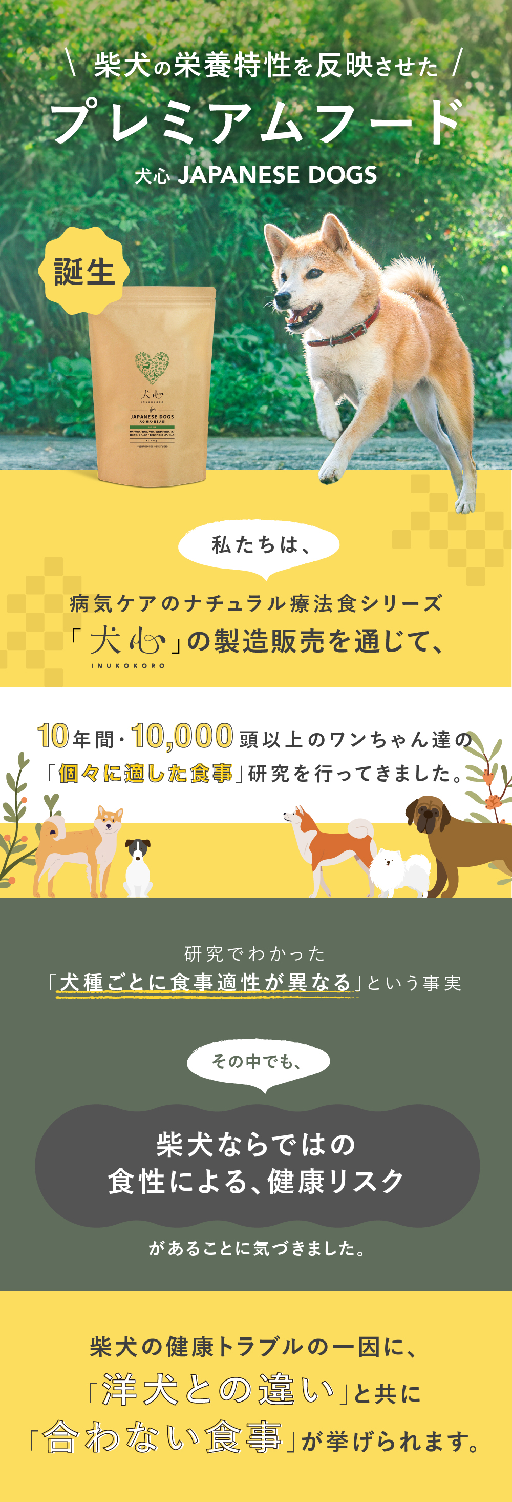 犬心　柴犬