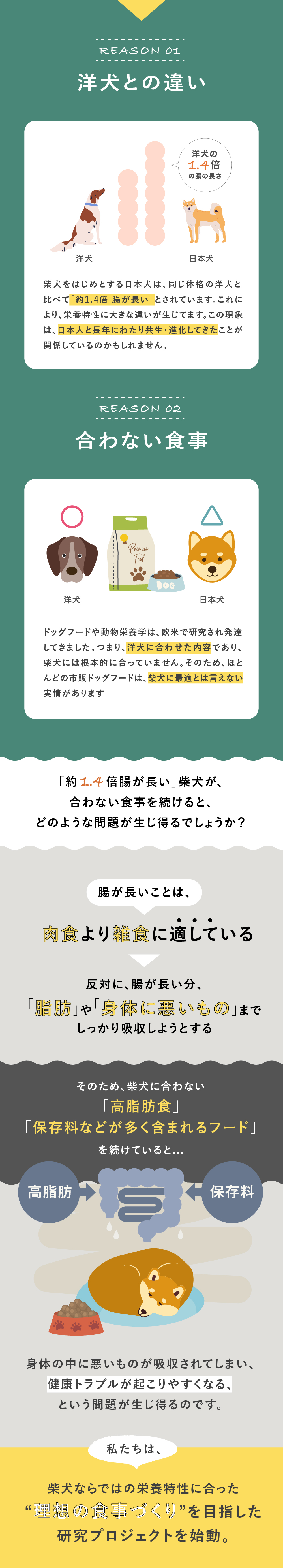 犬心　柴犬