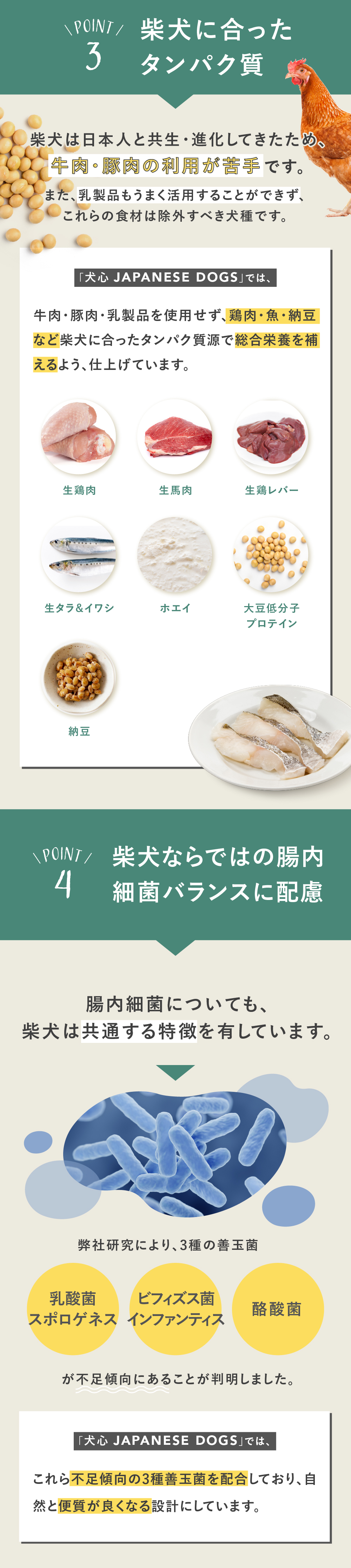 犬心　柴犬