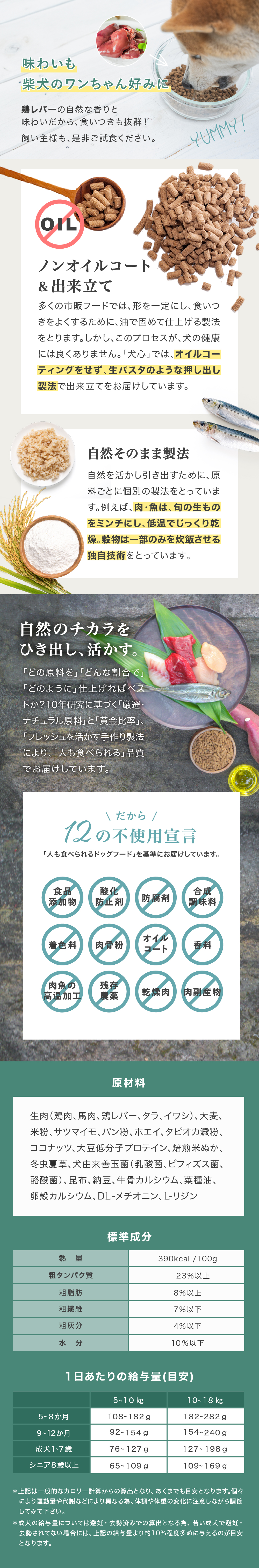 犬心　柴犬