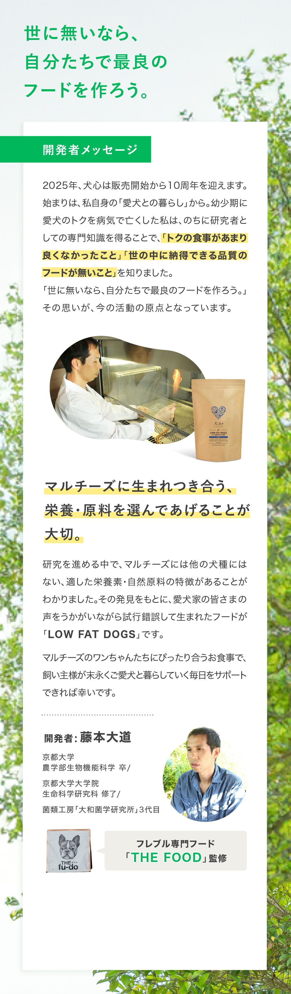 犬心　マルチーズ
