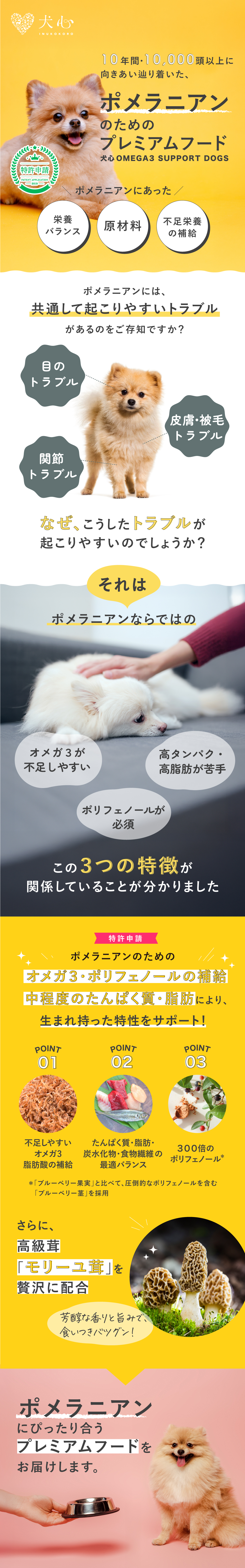 犬心　ポメラニアン