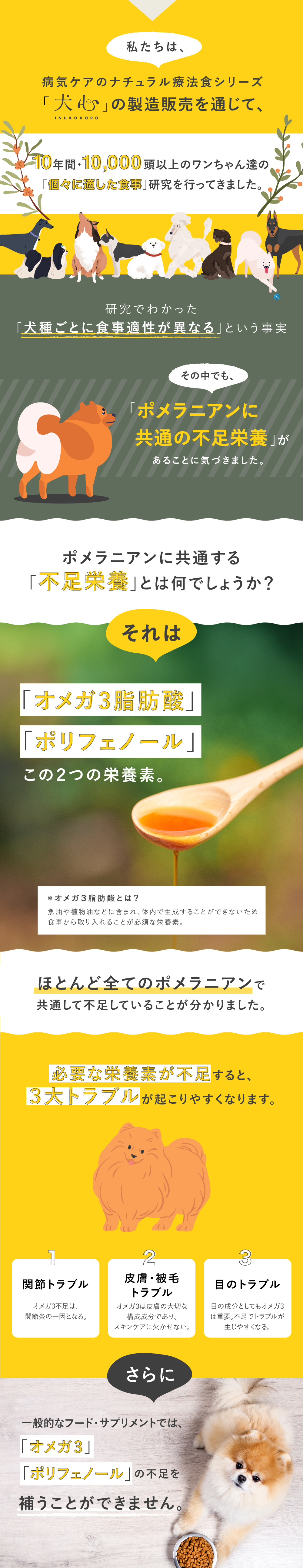 犬心　ポメラニアン