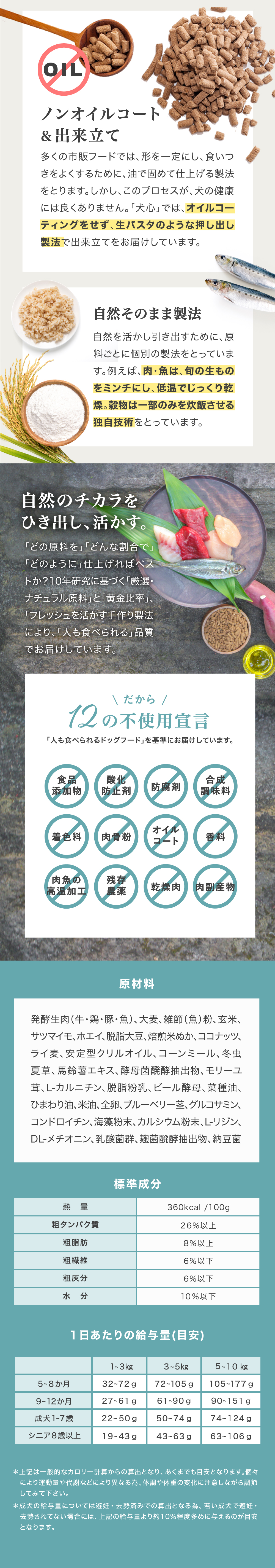 犬心　ポメラニアン